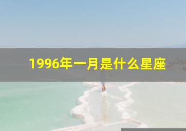 1996年一月是什么星座