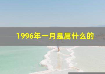 1996年一月是属什么的