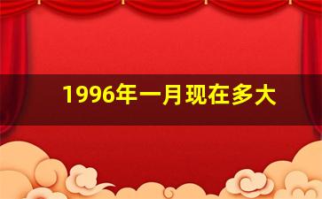 1996年一月现在多大