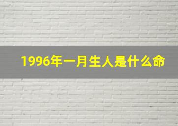 1996年一月生人是什么命