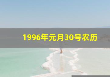 1996年元月30号农历