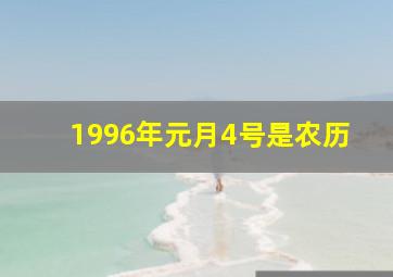 1996年元月4号是农历