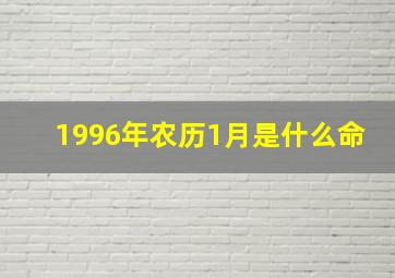 1996年农历1月是什么命