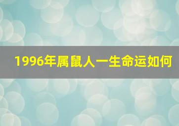 1996年属鼠人一生命运如何