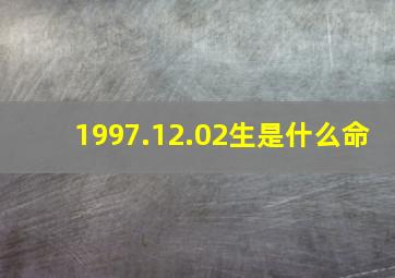 1997.12.02生是什么命