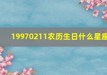 19970211农历生日什么星座