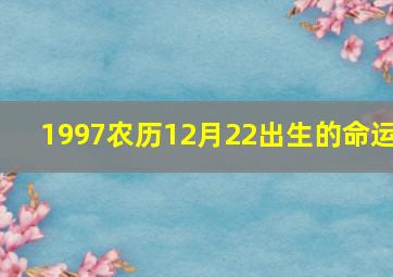 1997农历12月22出生的命运