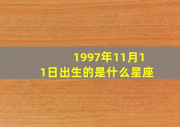 1997年11月11日出生的是什么星座