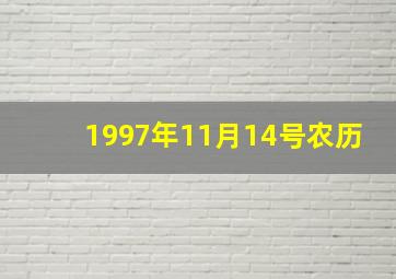 1997年11月14号农历