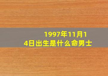 1997年11月14日出生是什么命男士