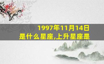 1997年11月14日是什么星座,上升星座是