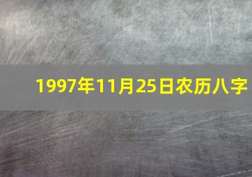 1997年11月25日农历八字