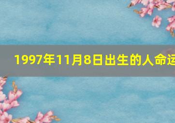 1997年11月8日出生的人命运