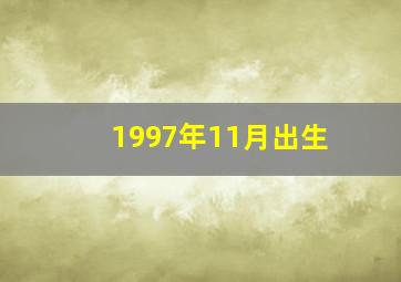 1997年11月出生