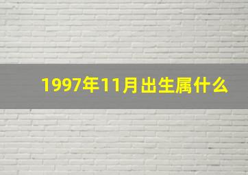 1997年11月出生属什么