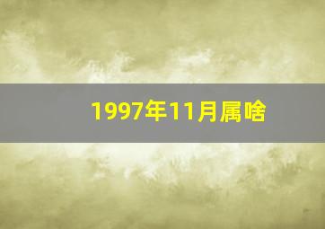 1997年11月属啥