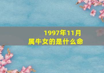 1997年11月属牛女的是什么命