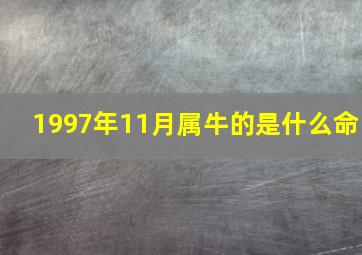 1997年11月属牛的是什么命