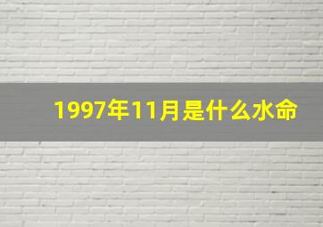 1997年11月是什么水命