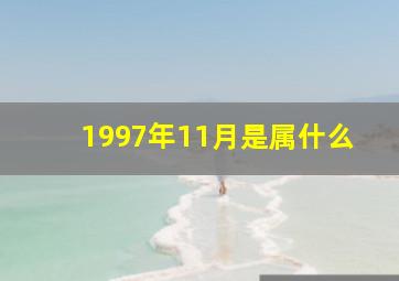 1997年11月是属什么