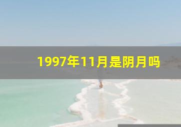 1997年11月是阴月吗