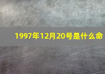 1997年12月20号是什么命