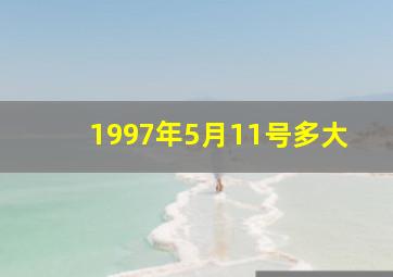 1997年5月11号多大