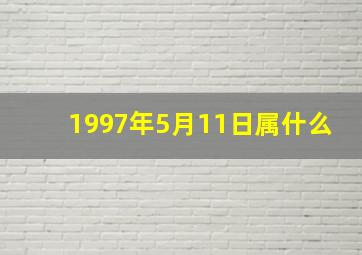 1997年5月11日属什么