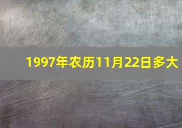 1997年农历11月22日多大