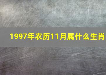 1997年农历11月属什么生肖