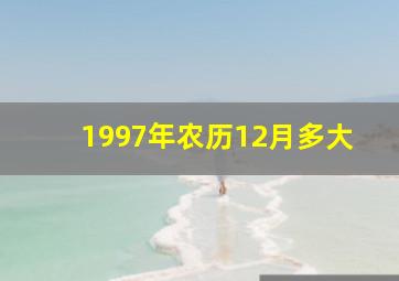 1997年农历12月多大