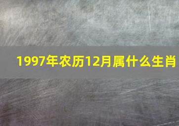 1997年农历12月属什么生肖