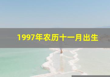 1997年农历十一月出生