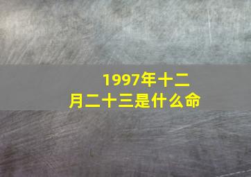 1997年十二月二十三是什么命