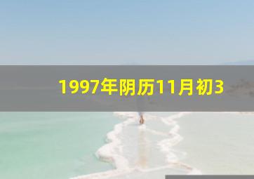 1997年阴历11月初3