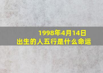 1998年4月14日出生的人五行是什么命运