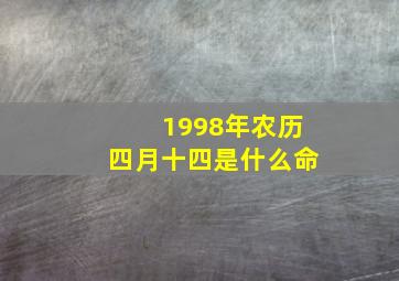 1998年农历四月十四是什么命