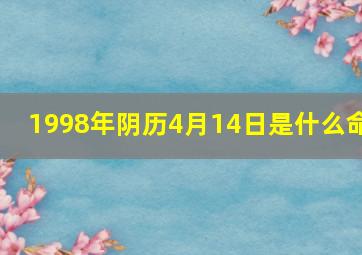 1998年阴历4月14日是什么命