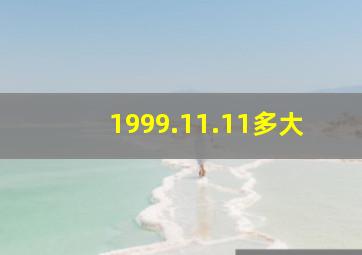 1999.11.11多大