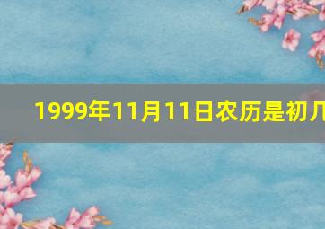 1999年11月11日农历是初几