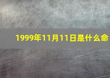 1999年11月11日是什么命