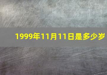 1999年11月11日是多少岁