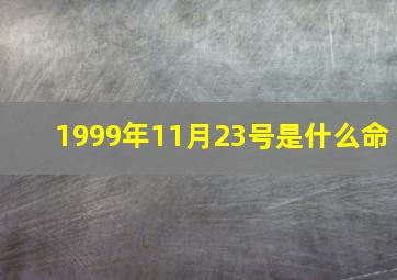 1999年11月23号是什么命