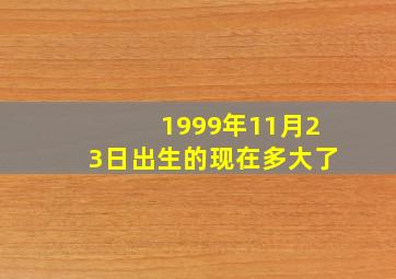 1999年11月23日出生的现在多大了