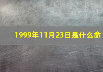 1999年11月23日是什么命