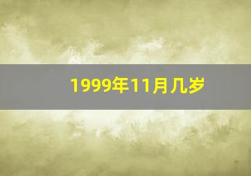 1999年11月几岁