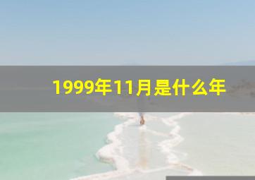 1999年11月是什么年