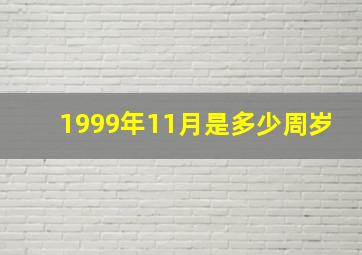 1999年11月是多少周岁