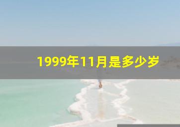 1999年11月是多少岁