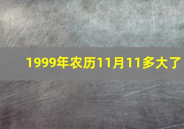 1999年农历11月11多大了